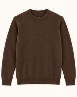 Men's Long Sleeve Jumper in Brown - principal